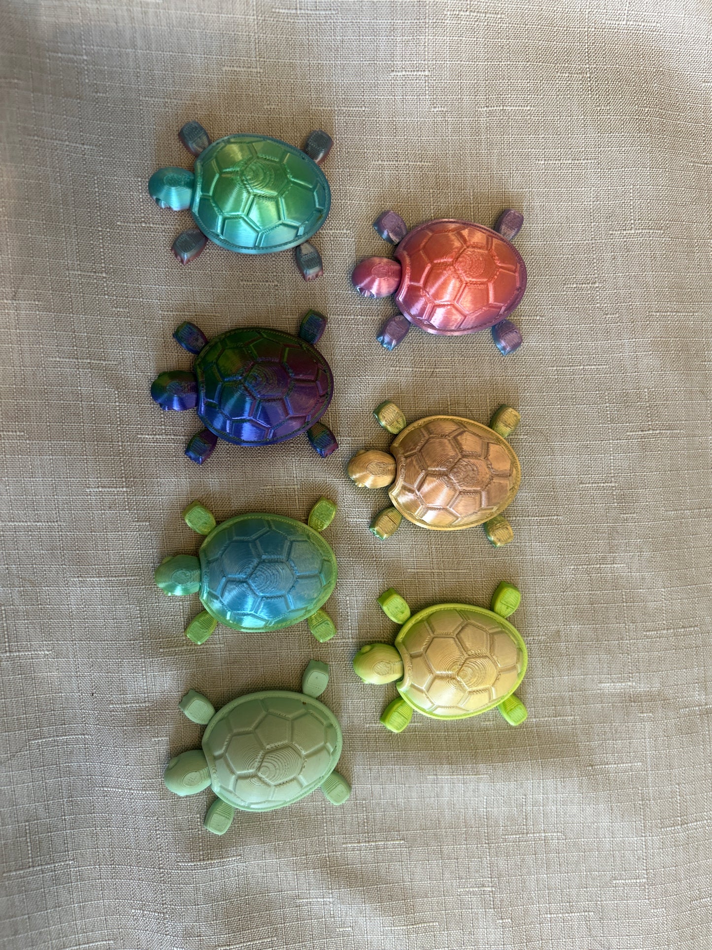 Baby Turtles
