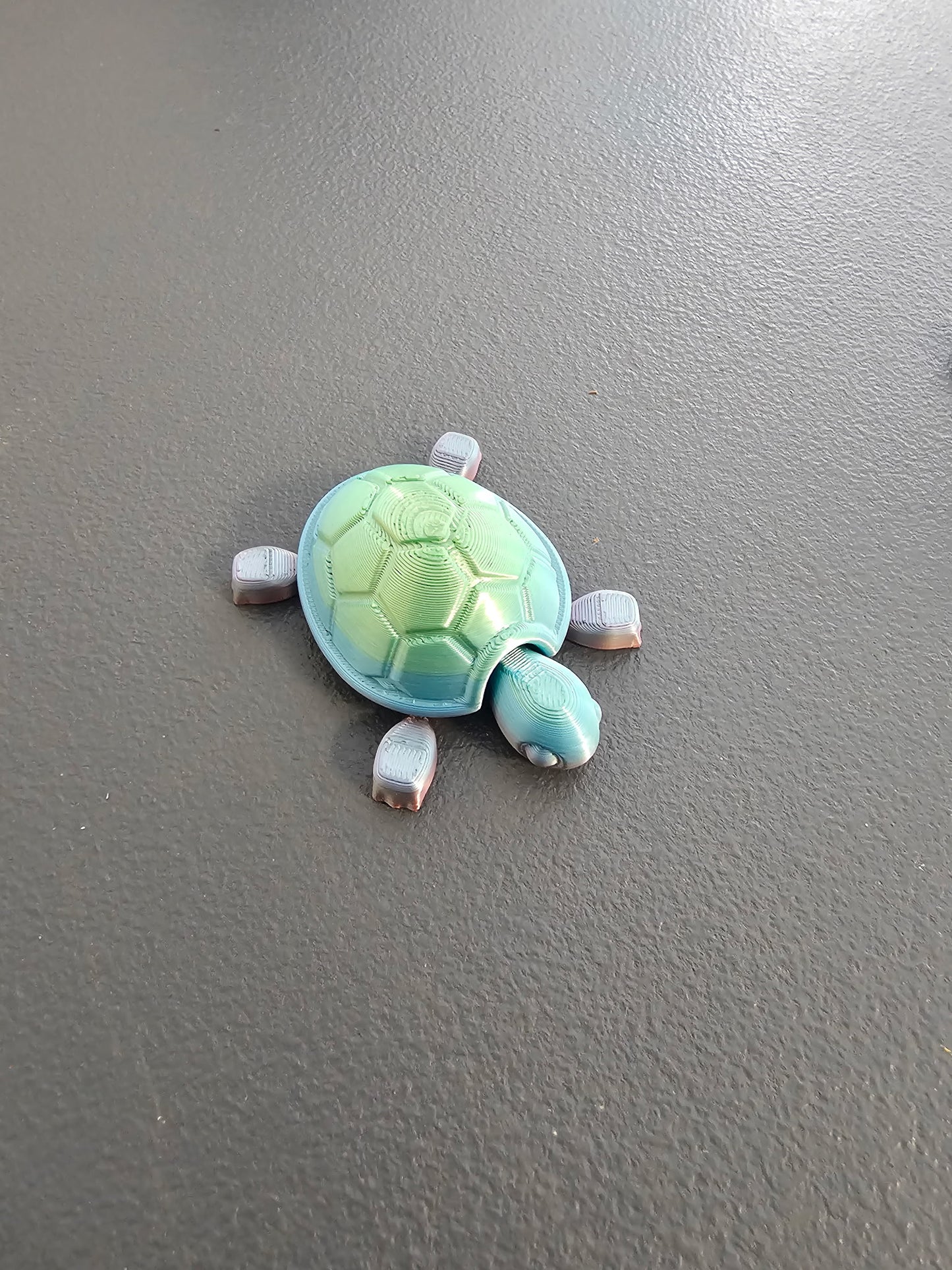 Baby Turtles