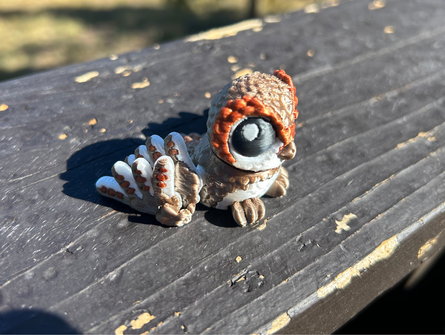 Owls