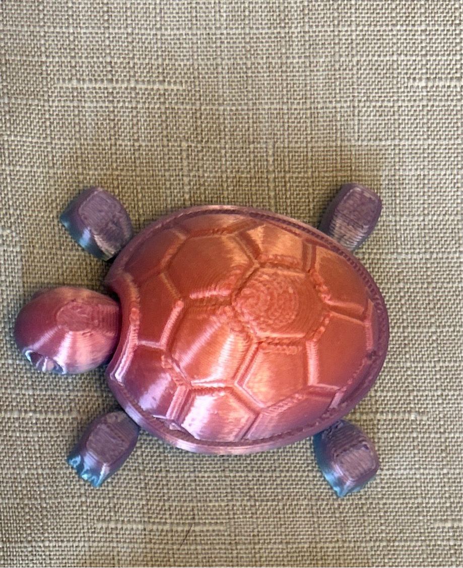 Baby Turtles