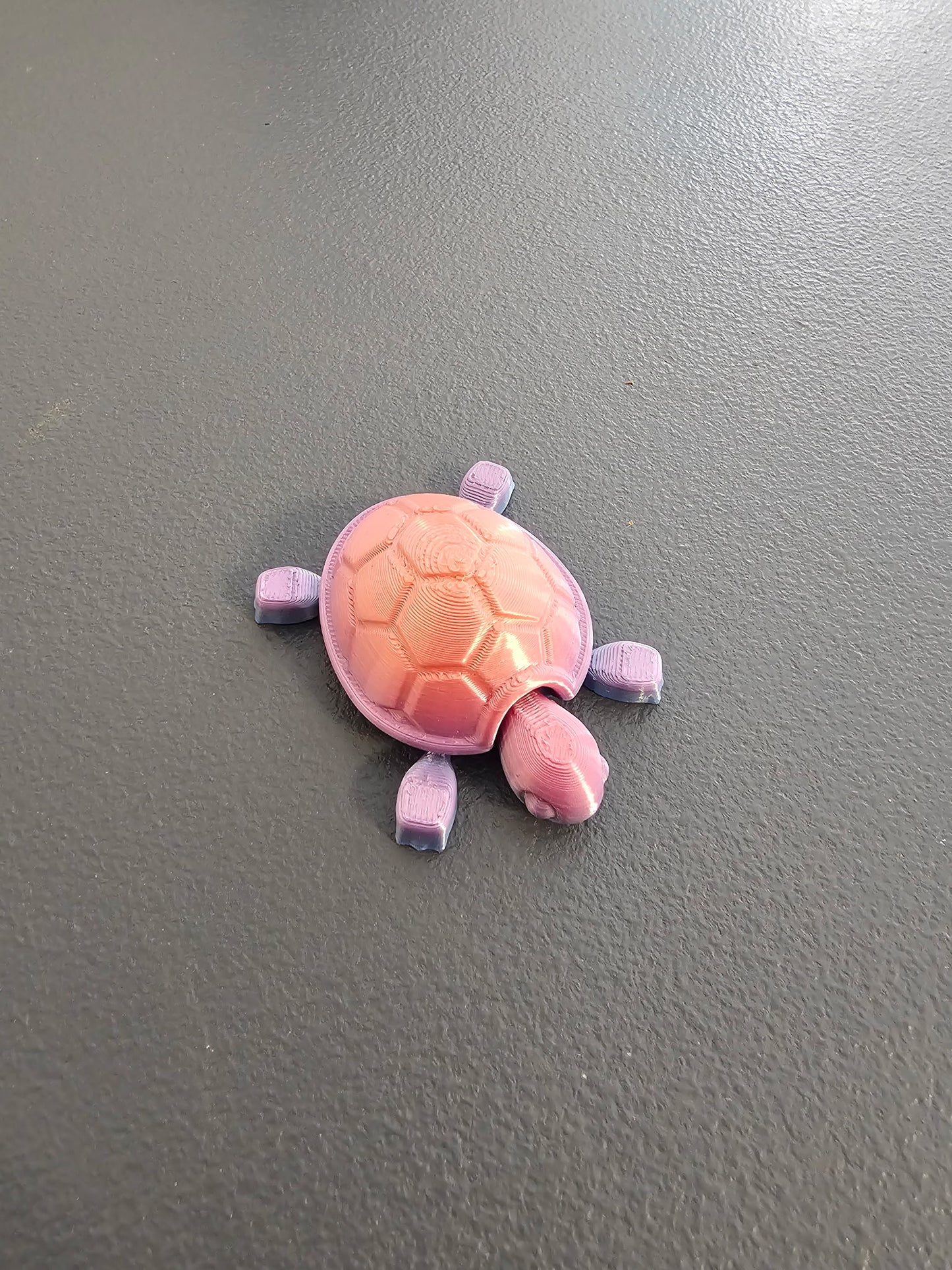 Baby Turtles