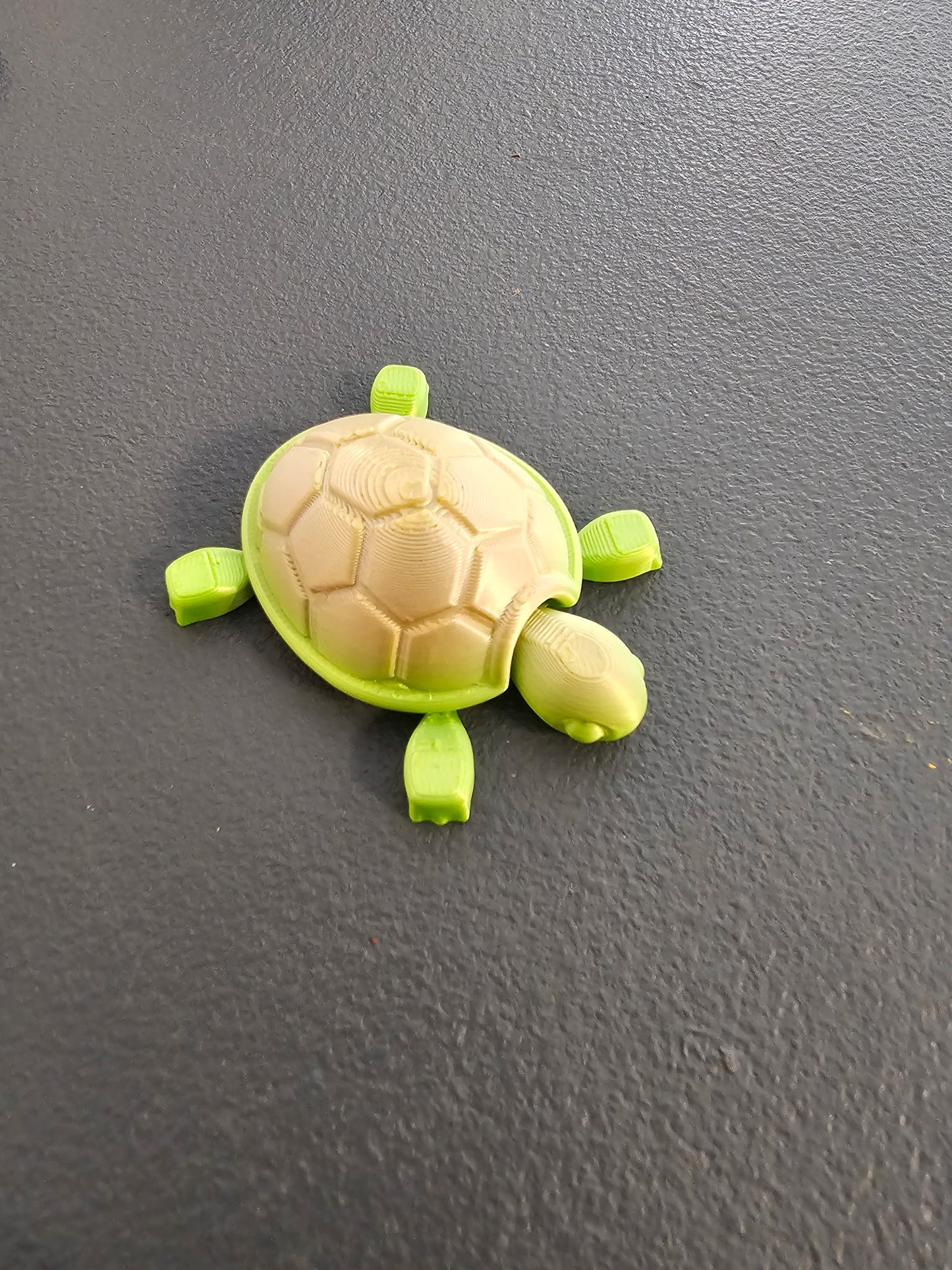 Baby Turtles