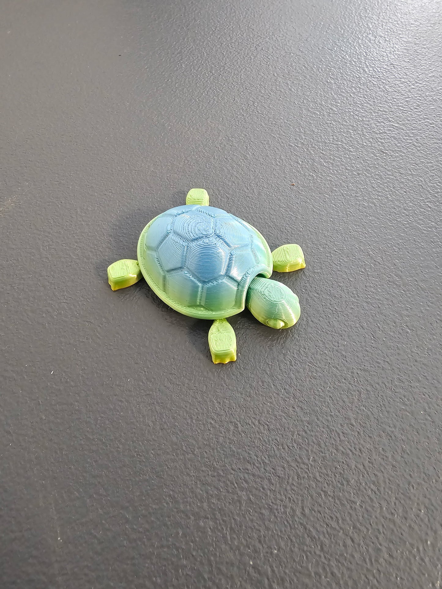Baby Turtles