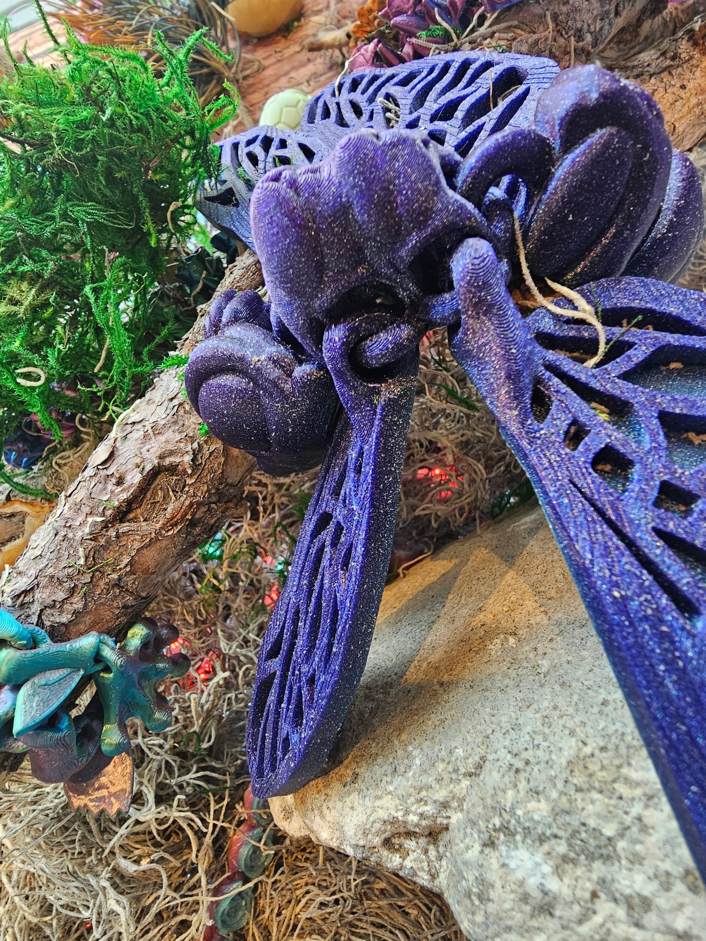 Large Dragonflies