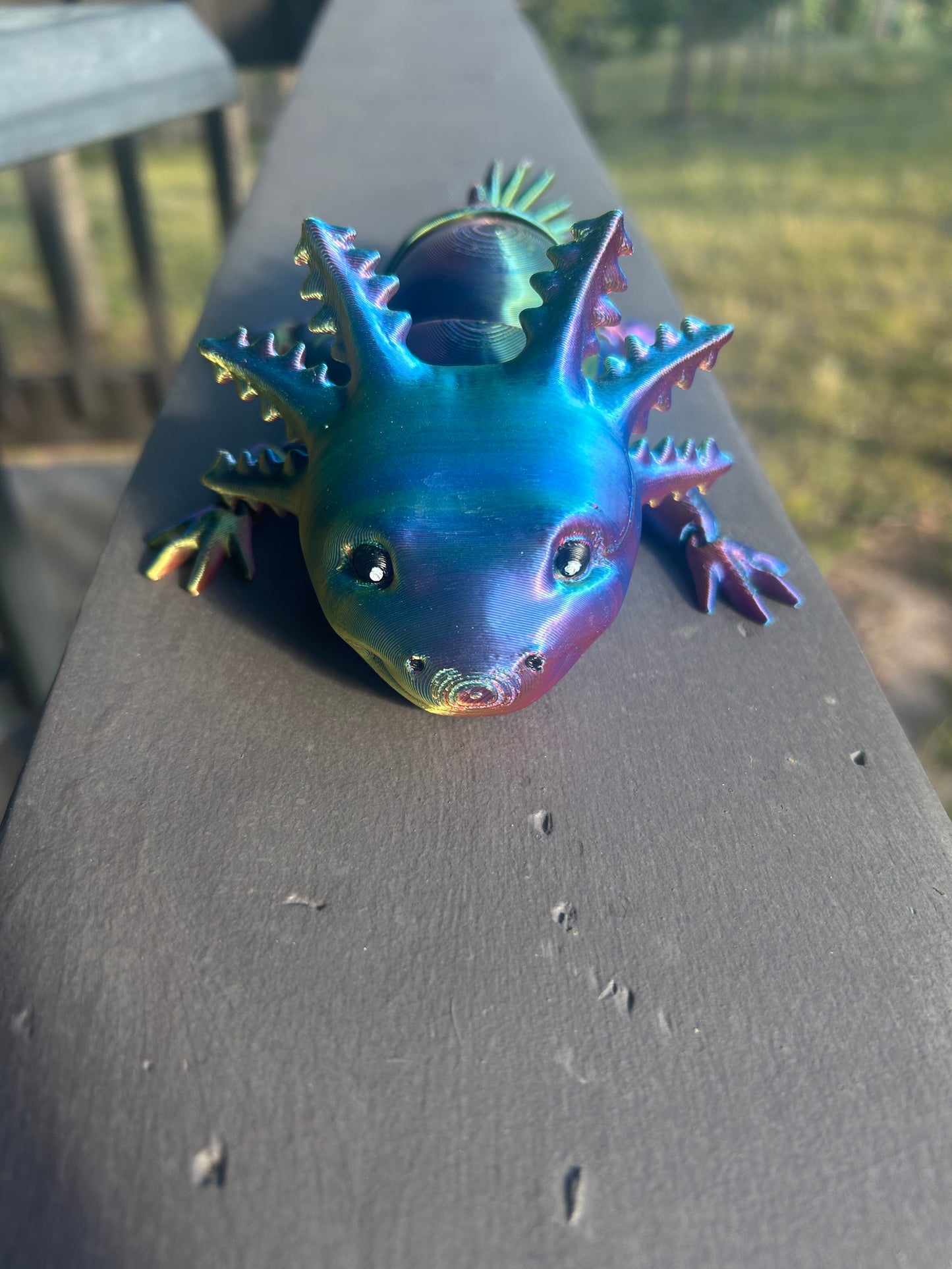 Axolotl