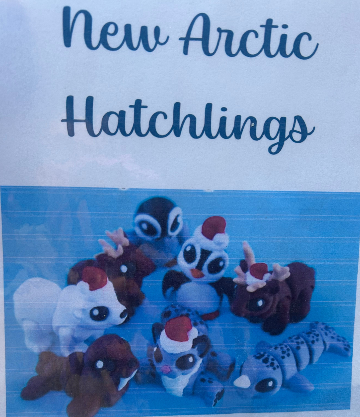 New Arctic Mystery Hatchlings