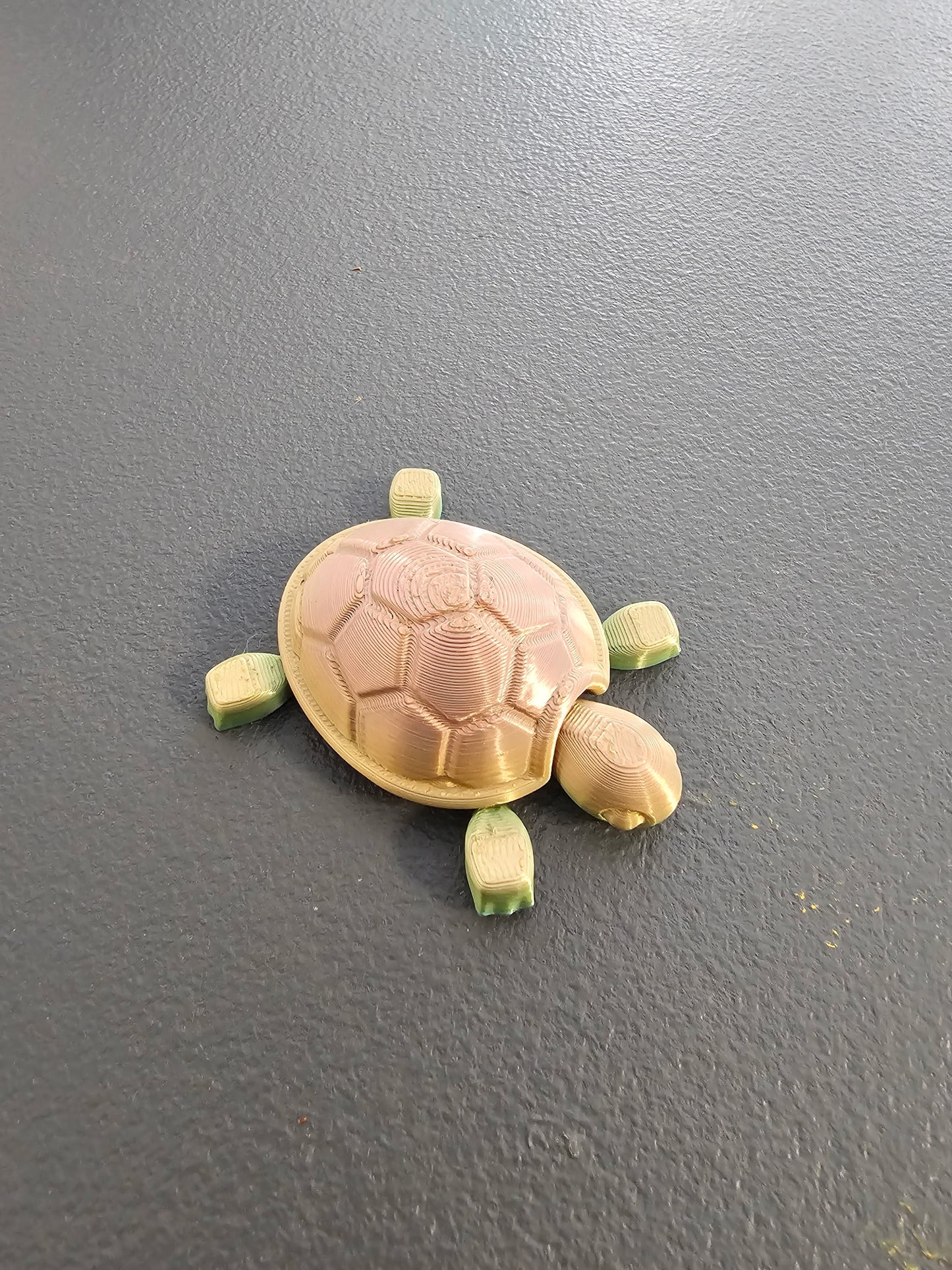 Baby Turtles