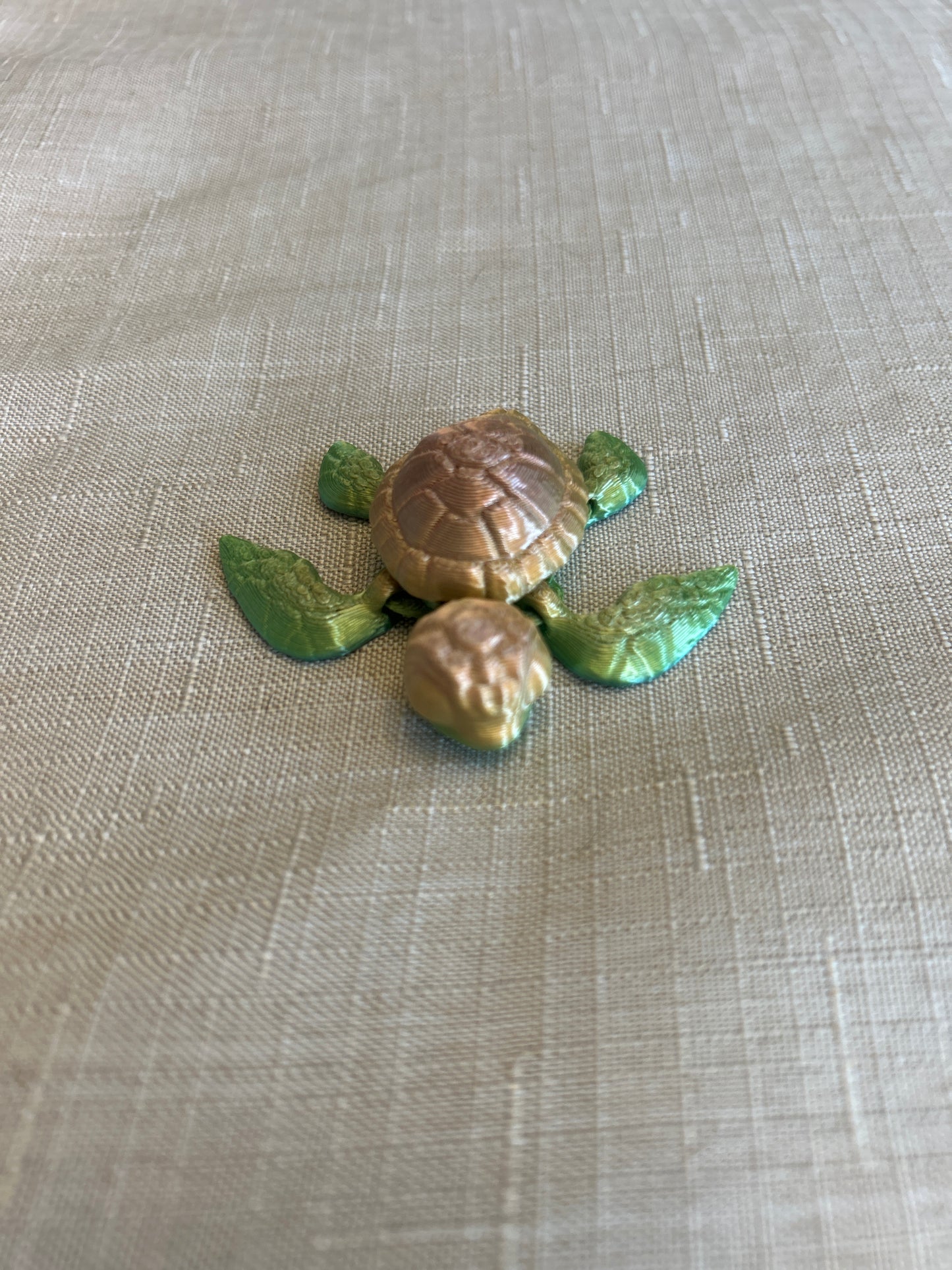 Baby Sea Turtles