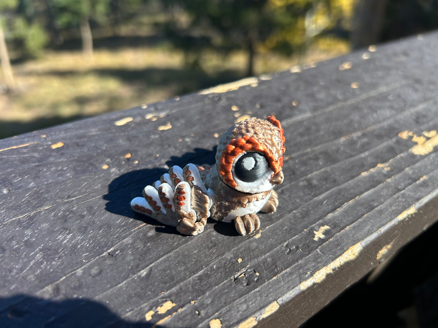 Owls
