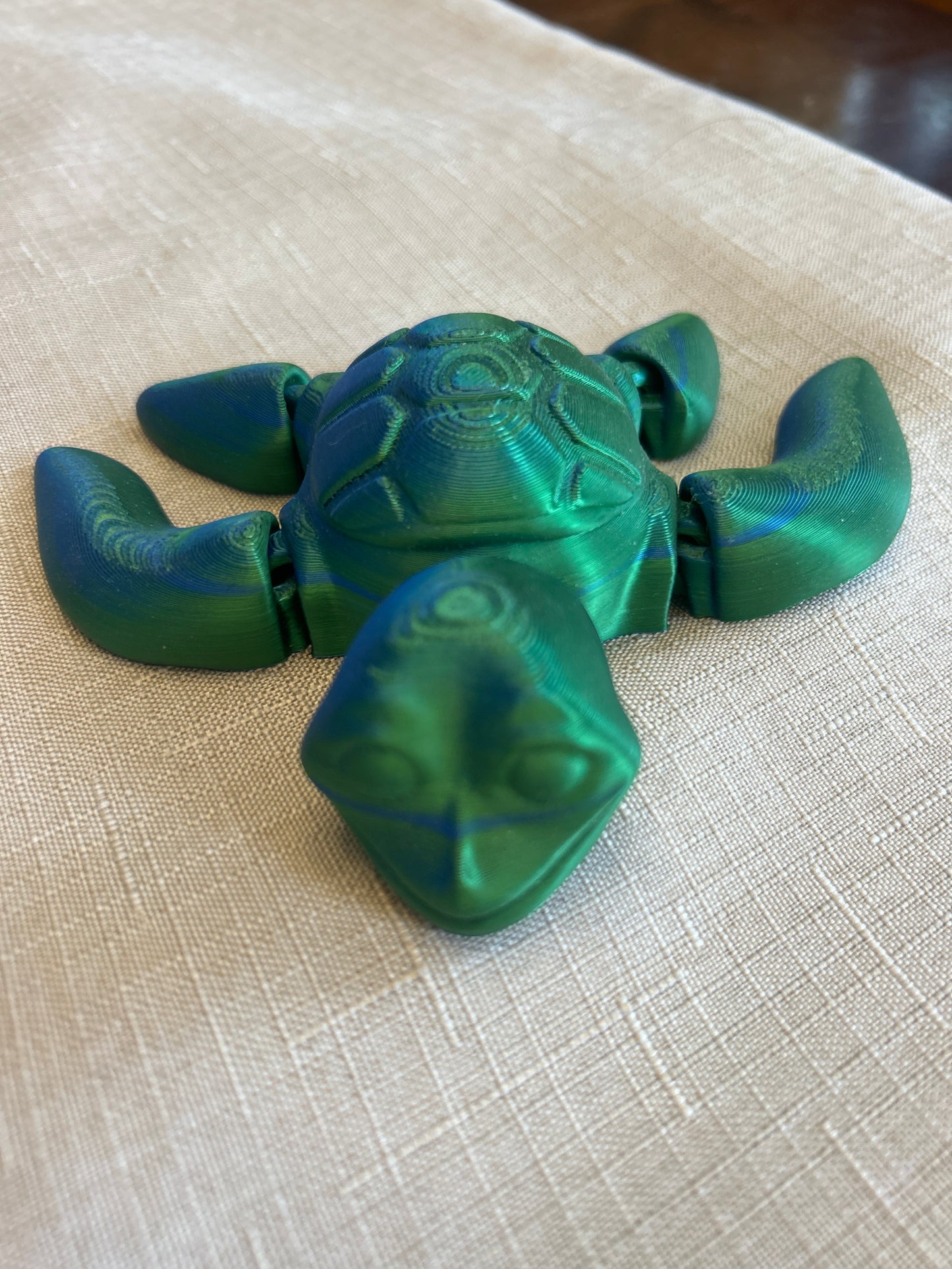 Sea Turtles