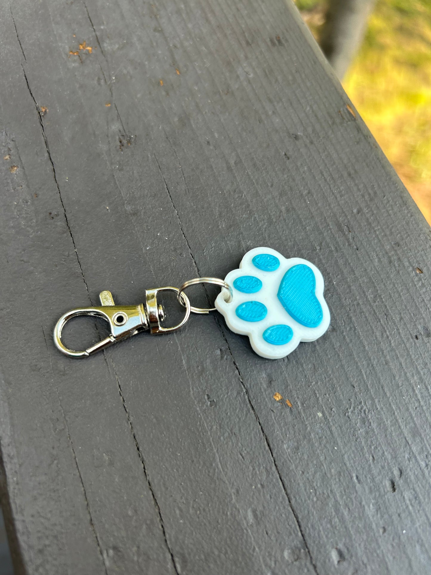 Little Paws
