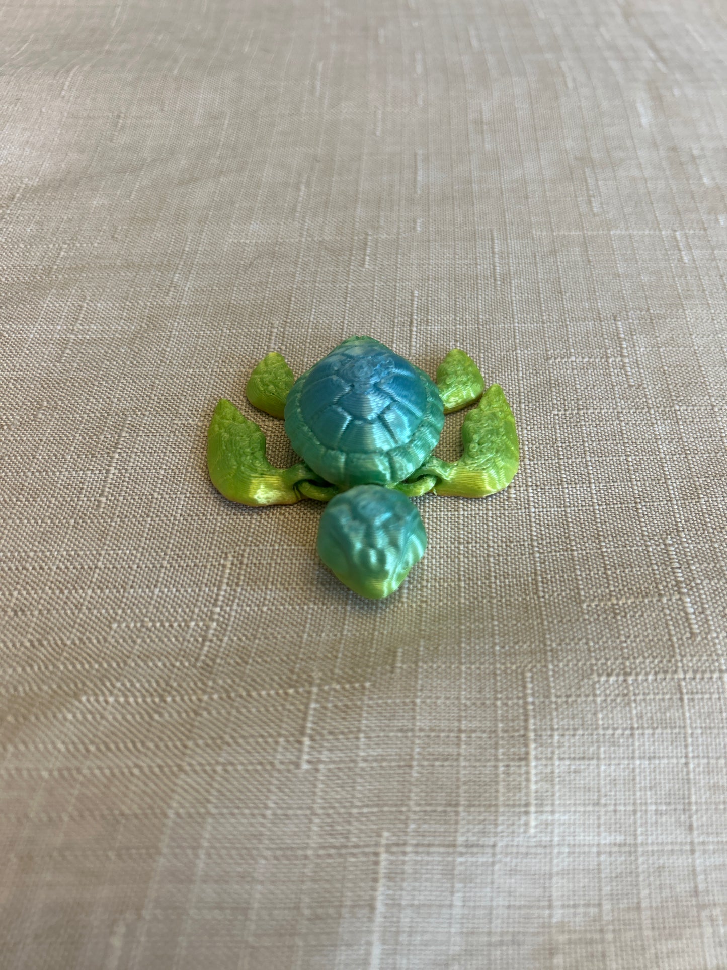 Baby Sea Turtles