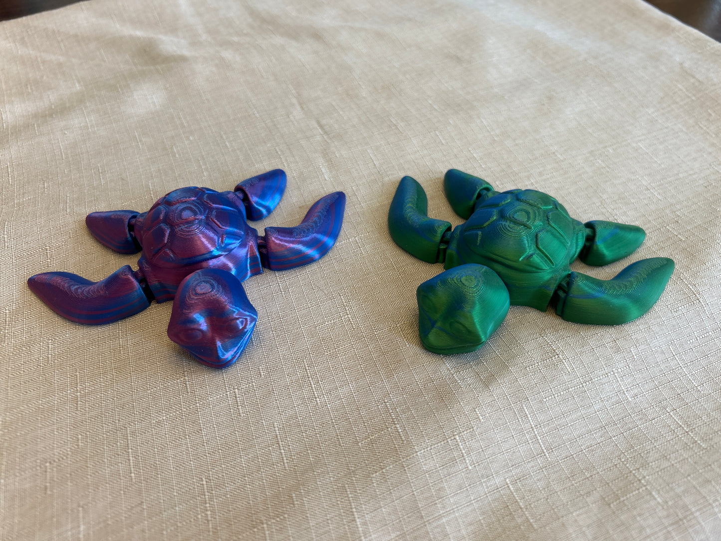 Sea Turtles