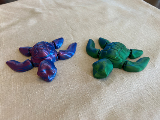 Sea Turtles