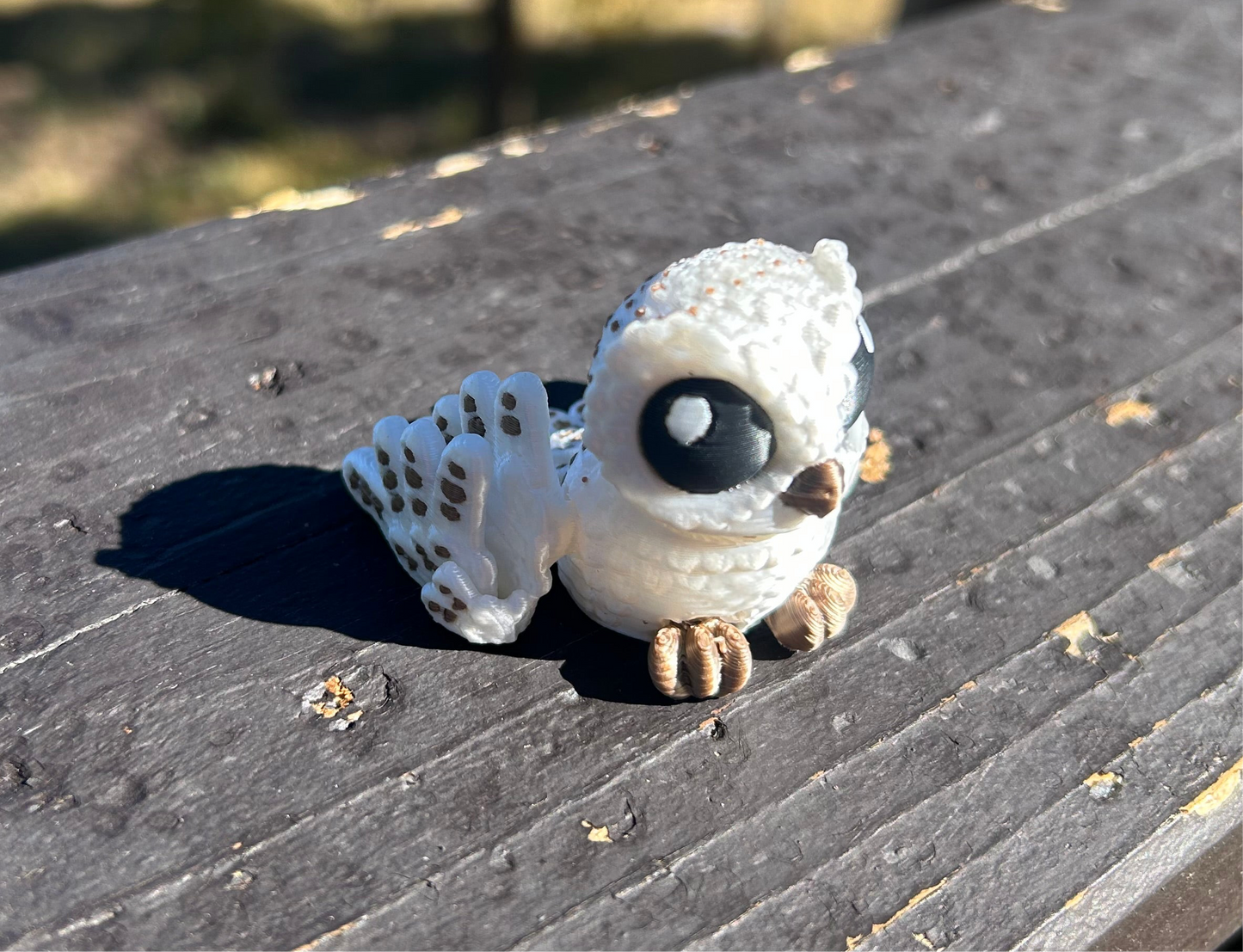 Owls