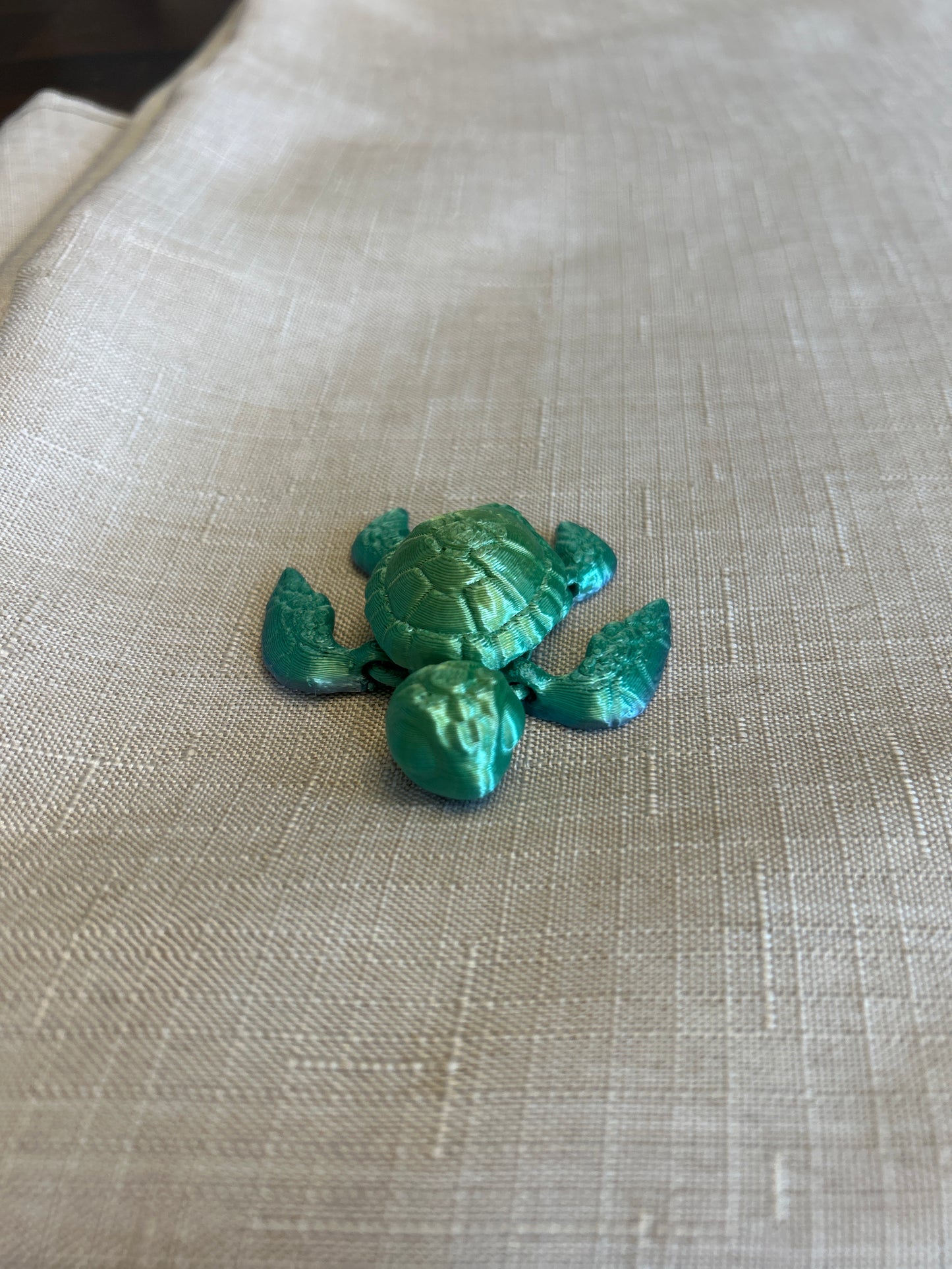 Baby Sea Turtles