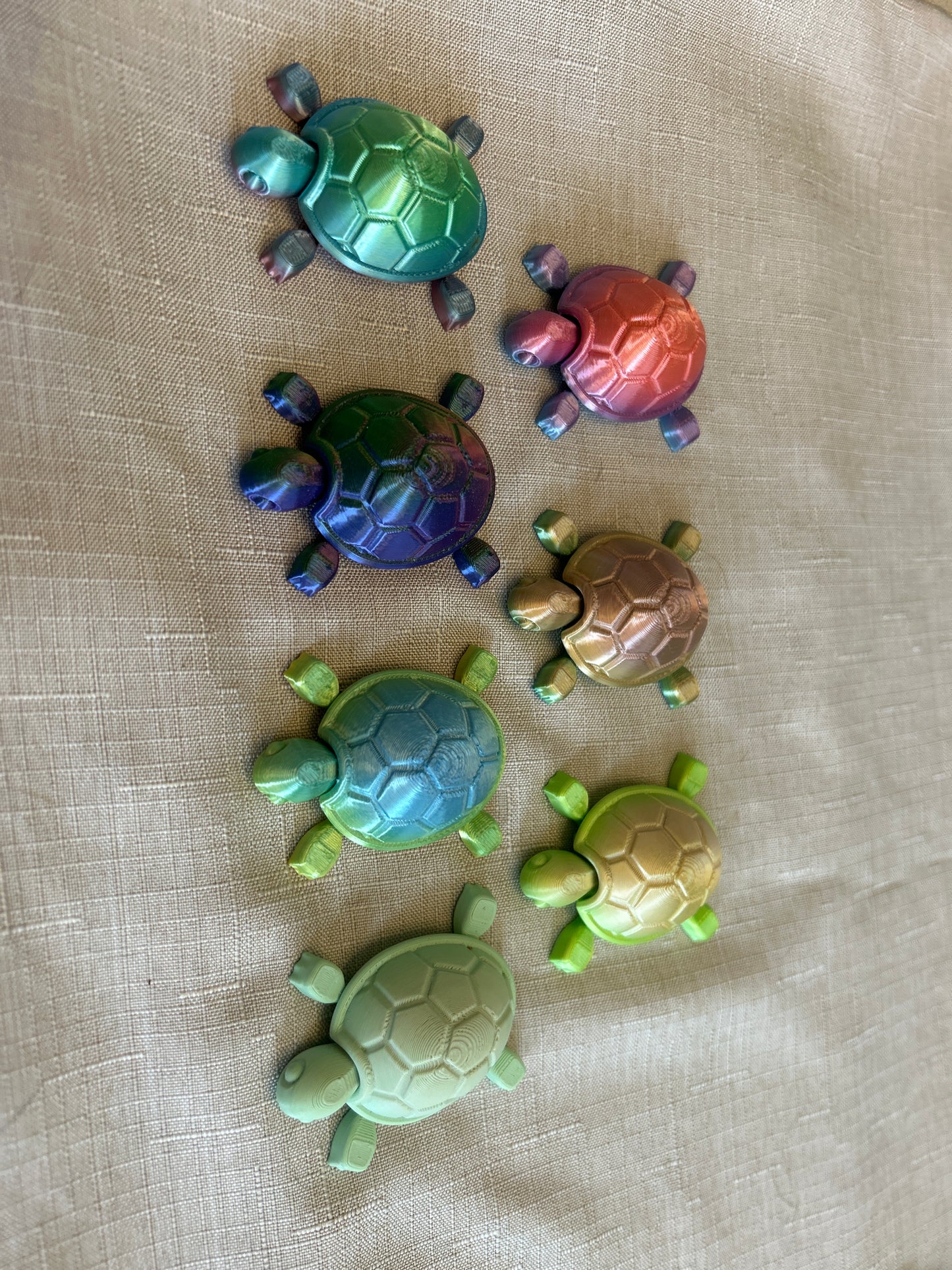 Baby Turtles