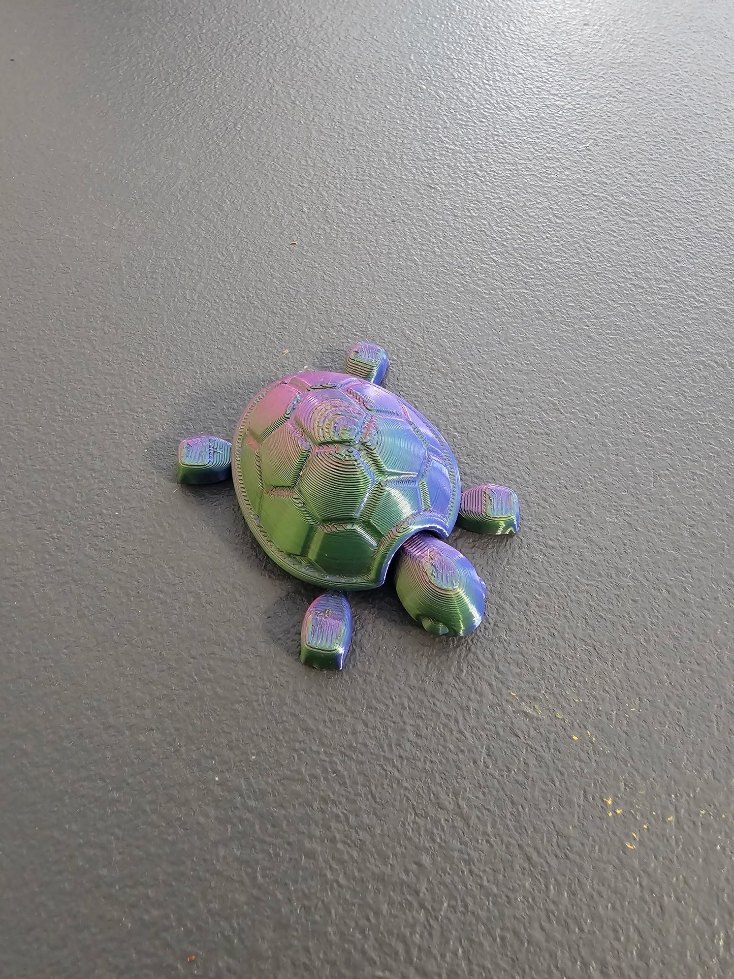 Baby Turtles