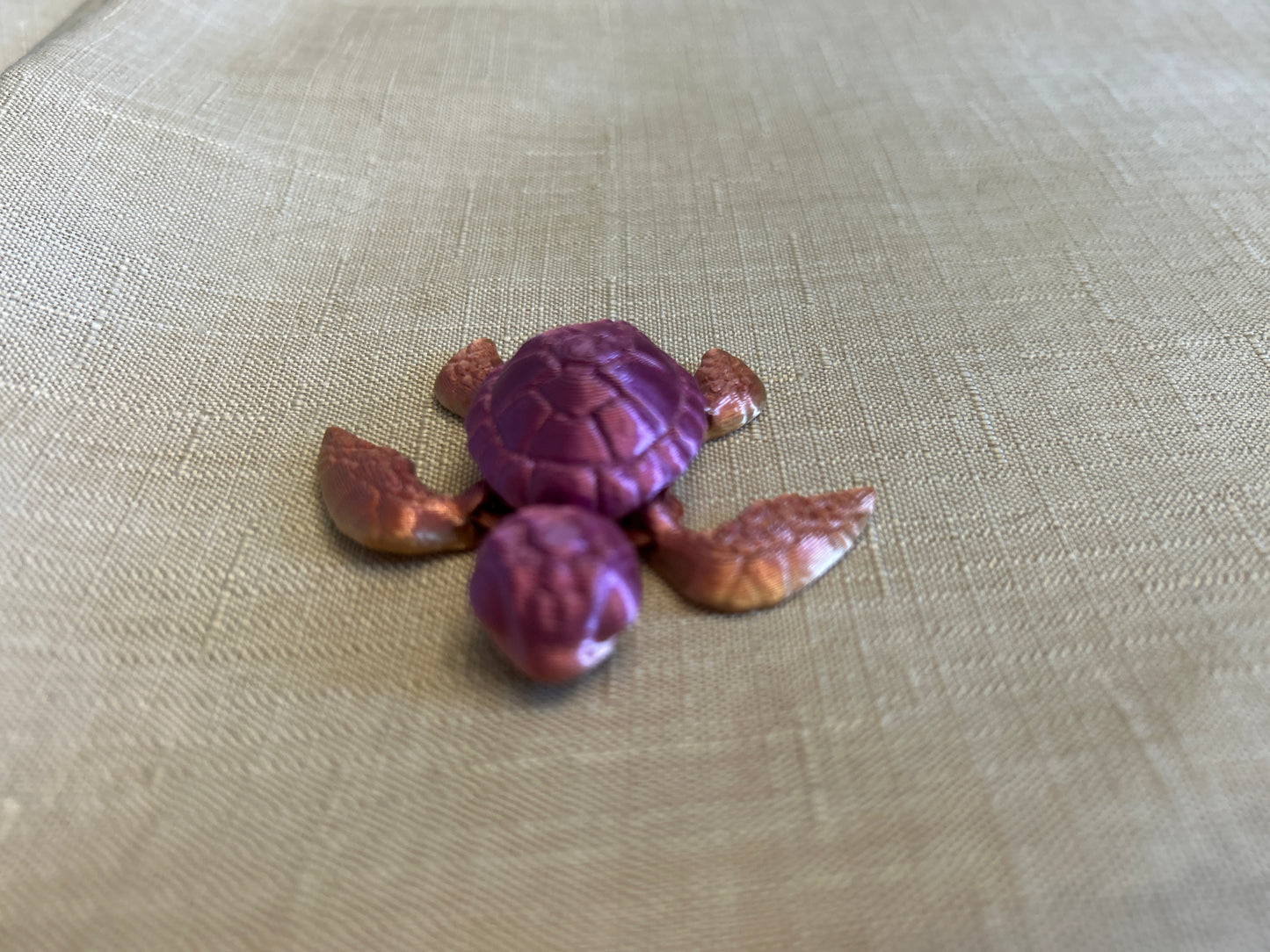 Baby Sea Turtles