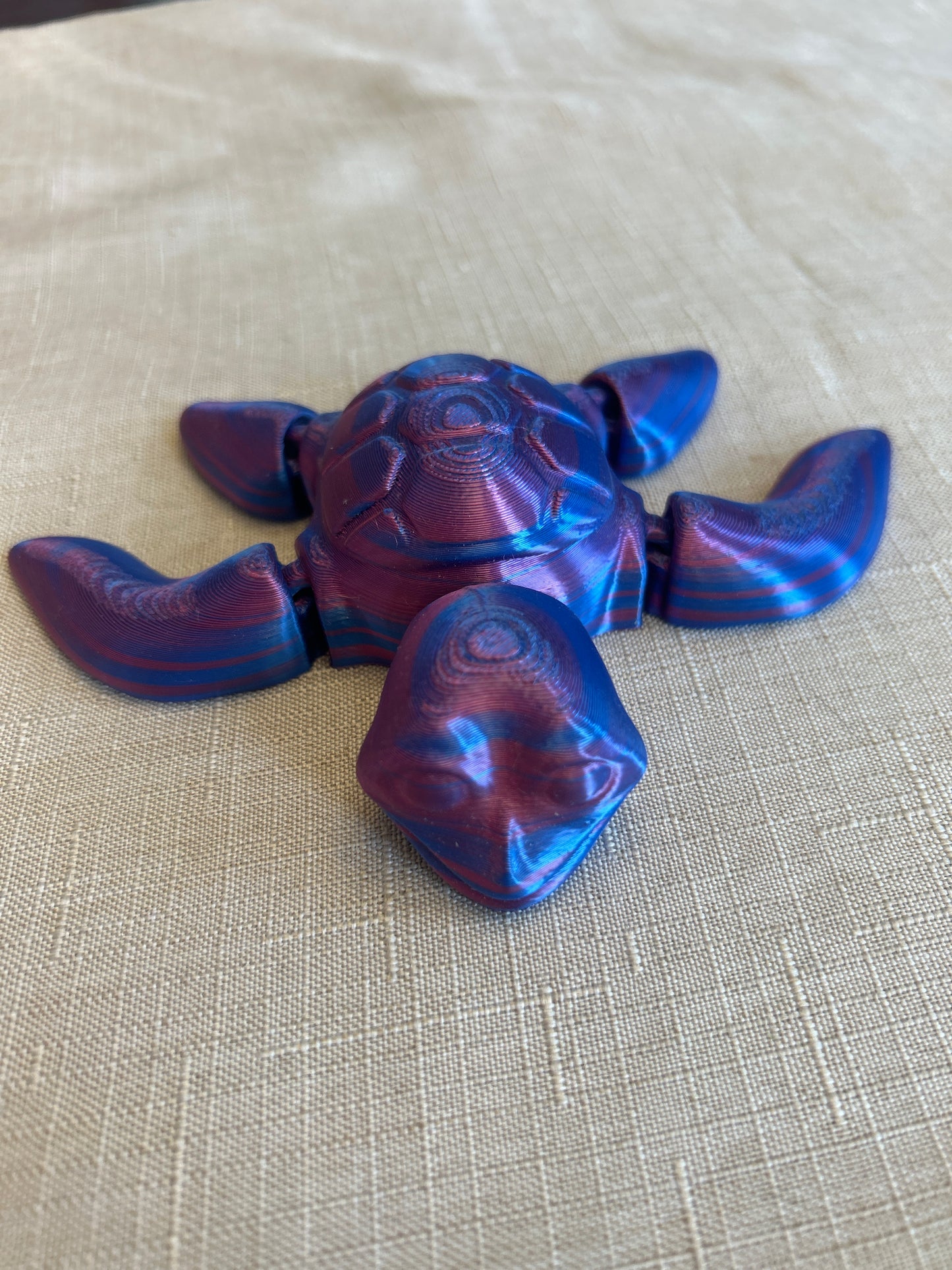 Sea Turtles
