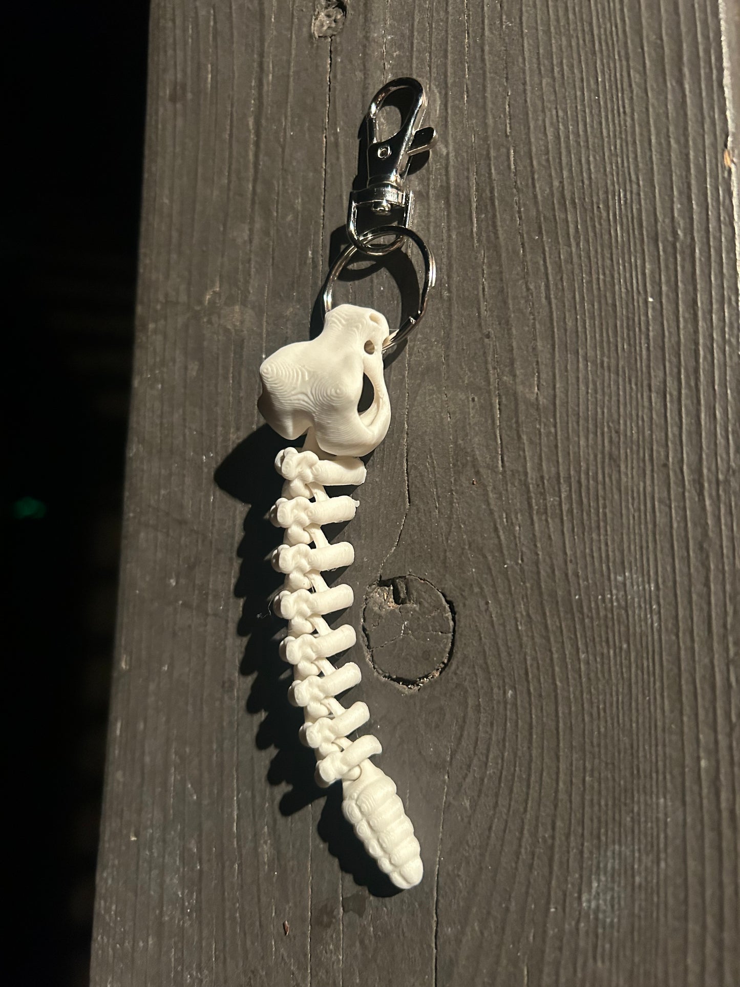 Rattlesnake Skeleton Keychains