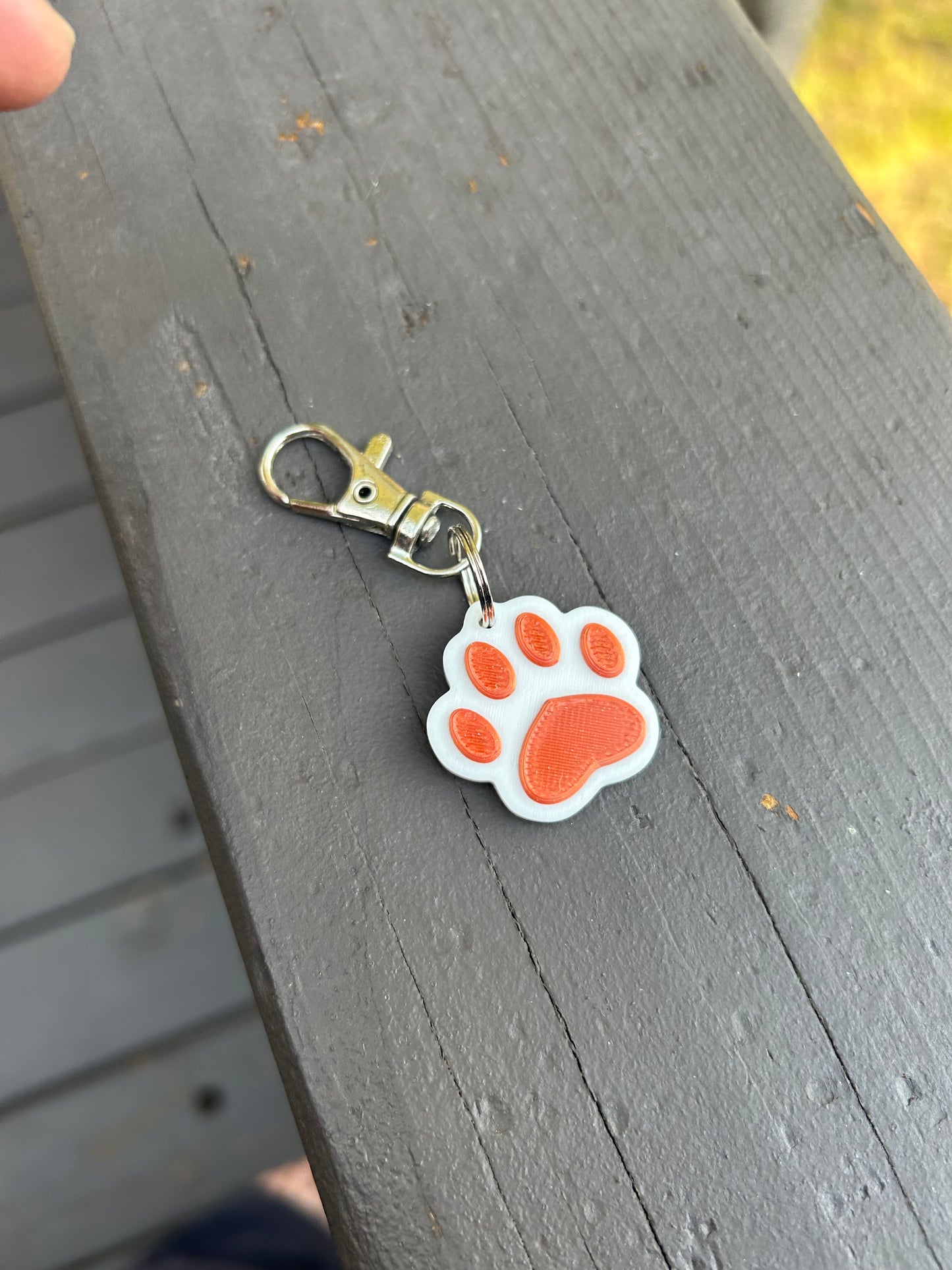 Little Paws