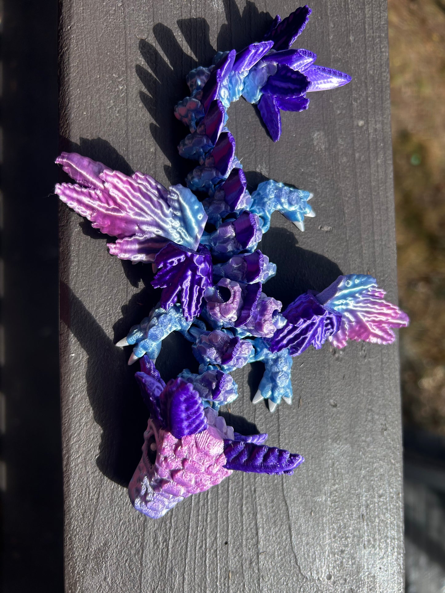 Baby Axolotl Dragons