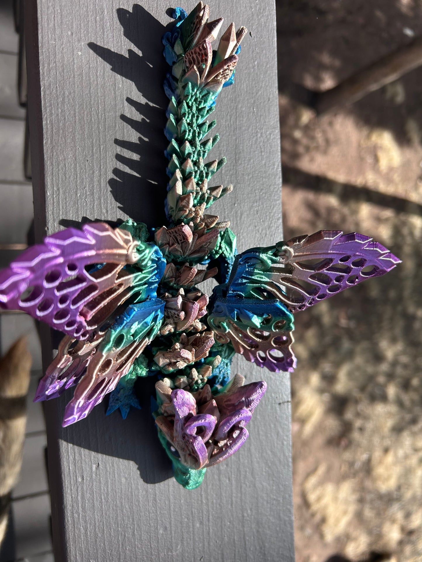 Baby Fae Wolf Dragons